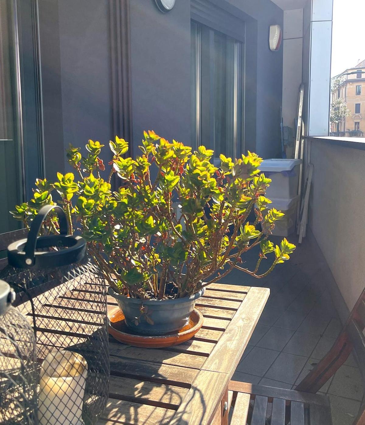 Suite Porta Romana Milan Extérieur photo
